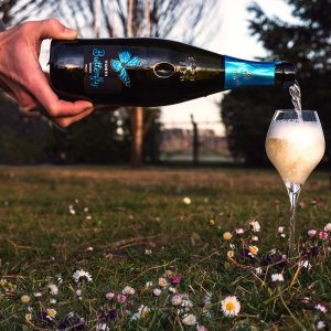 Tosti 1820 Butterfly Demi Sec Sparkling Wine